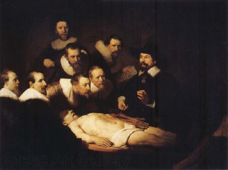 REMBRANDT Harmenszoon van Rijn The Anatomy Lesson by Dr.Tulp Norge oil painting art